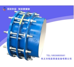 VSSJAF單法蘭（lán）鬆套傳力接頭